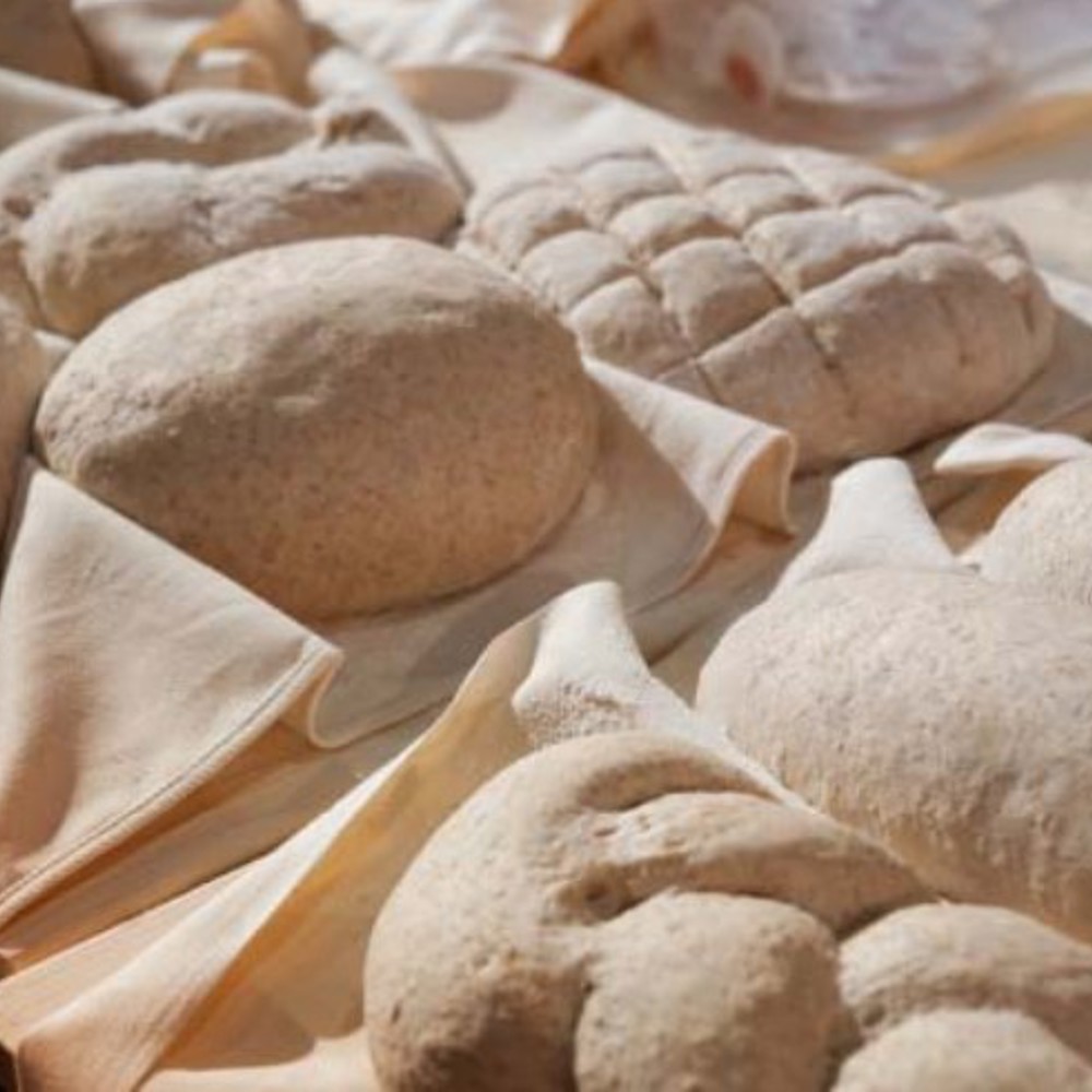 Hornos frigoríficos de panadería