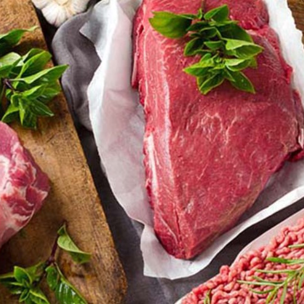 Réfrigérateurs gastronomiques à congélation