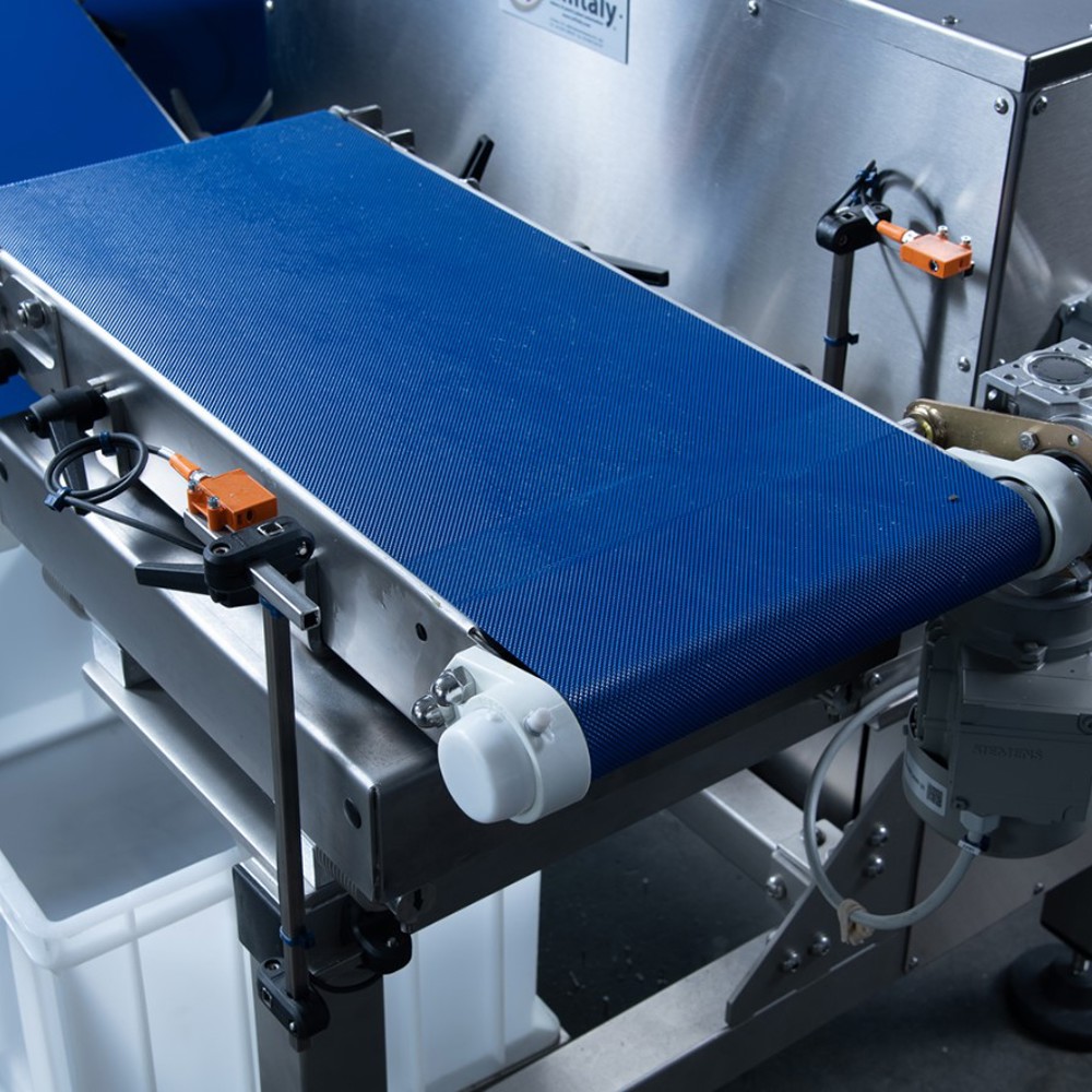 Automatic Checkweigher 